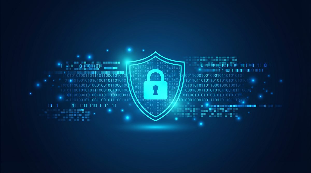 布鸟加速器隐私安全保护